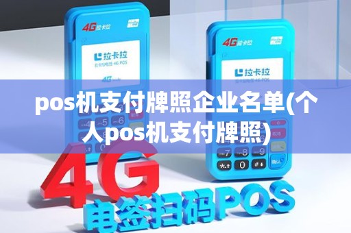 pos机支付牌照企业名单(个人pos机支付牌照)