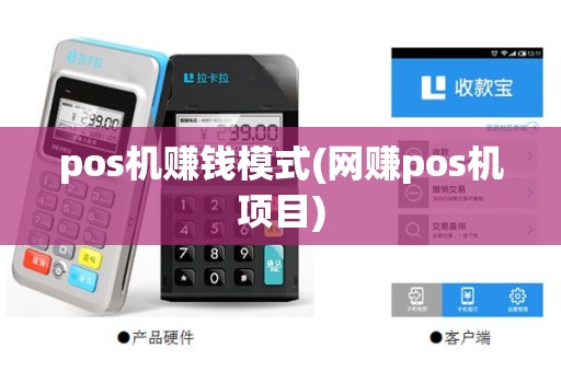 pos机赚钱模式(网赚pos机项目)