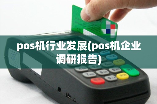pos机行业发展(pos机企业调研报告)