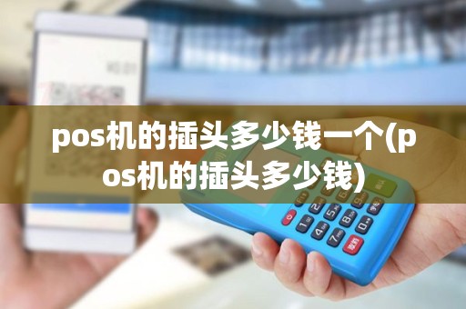 pos机的插头多少钱一个(pos机的插头多少钱)