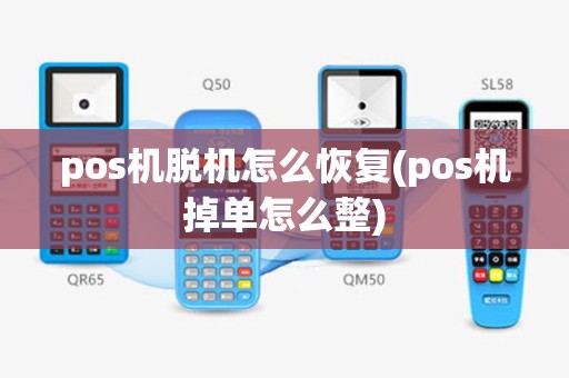 pos机脱机怎么恢复(pos机掉单怎么整)