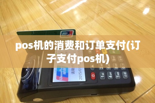 pos机的消费和订单支付(订子支付pos机)