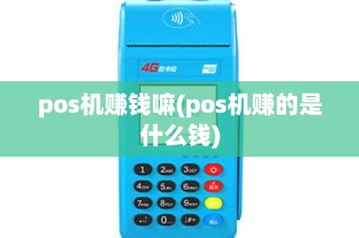 pos机赚钱嘛(pos机赚的是什么钱)