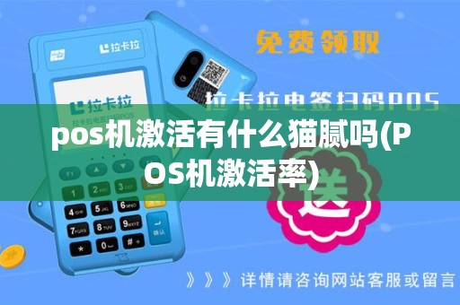 pos机激活有什么猫腻吗(POS机激活率)