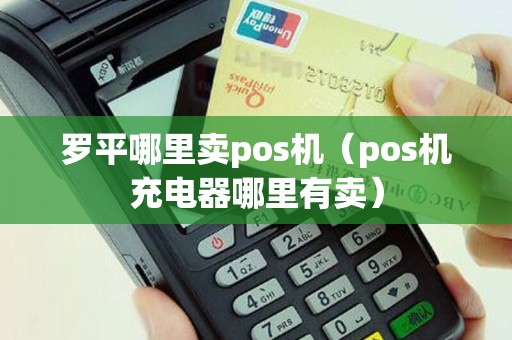 罗平哪里卖pos机（pos机充电器哪里有卖）