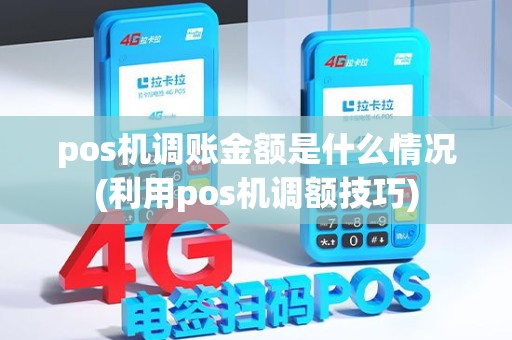 pos机调账金额是什么情况(利用pos机调额技巧)