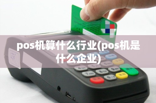 pos机算什么行业(pos机是什么企业)