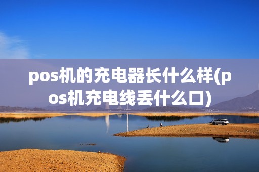pos机的充电器长什么样(pos机充电线丢什么口)