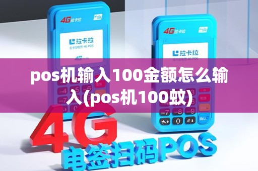 pos机输入100金额怎么输入(pos机100蚊)