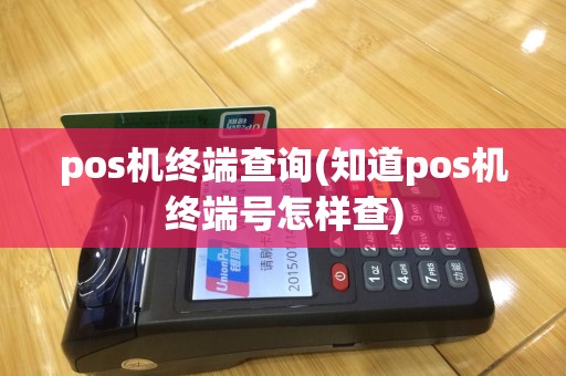 pos机终端查询(知道pos机终端号怎样查)