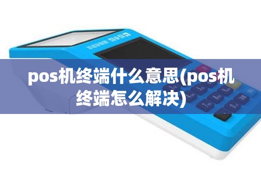 pos机终端什么意思(pos机终端怎么解决)