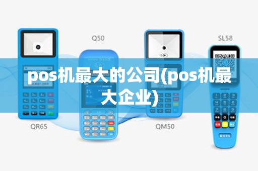 pos机最大的公司(pos机最大企业)