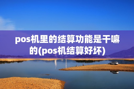 pos机里的结算功能是干嘛的(pos机结算好坏)