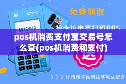 pos机消费支付宝交易号怎么查(pos机消费和支付)