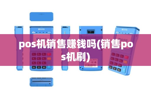 pos机销售赚钱吗(销售pos机刷)