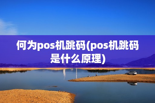 何为pos机跳码(pos机跳码是什么原理)