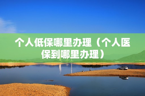 个人低保哪里办理（个人医保到哪里办理）