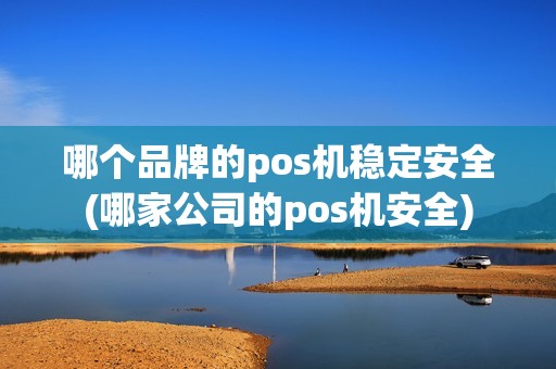 哪个品牌的pos机稳定安全(哪家公司的pos机安全)