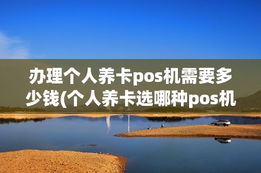 办理个人养卡pos机需要多少钱(个人养卡选哪种pos机)