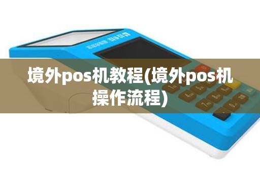 境外pos机教程(境外pos机操作流程)