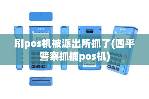 刷pos机被派出所抓了(四平警察抓捕pos机)