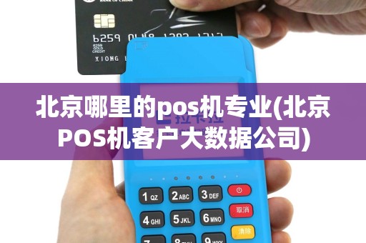 北京哪里的pos机专业(北京POS机客户大数据公司)