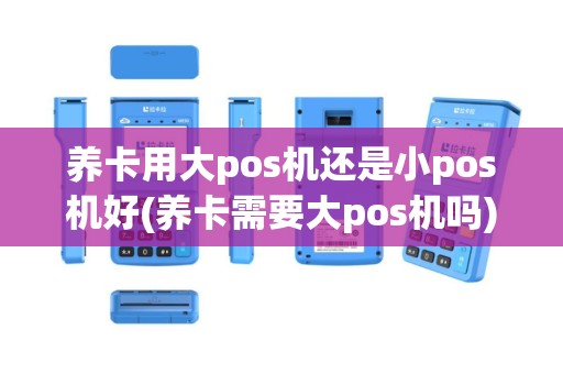 养卡用大pos机还是小pos机好(养卡需要大pos机吗)