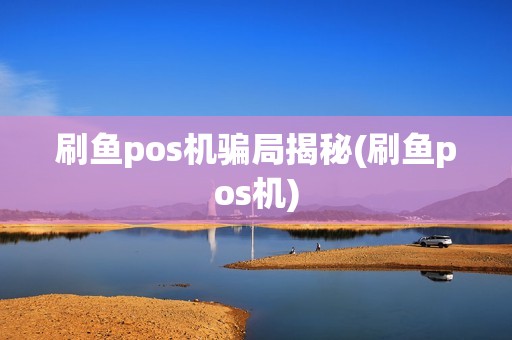 刷鱼pos机骗局揭秘(刷鱼pos机)