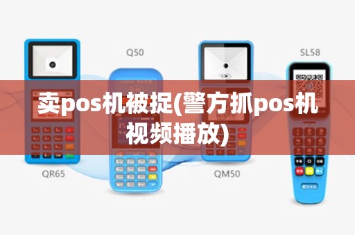 卖pos机被捉(警方抓pos机视频播放)