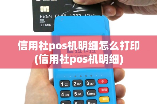 信用社pos机明细怎么打印(信用社pos机明细)
