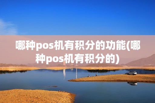 哪种pos机有积分的功能(哪种pos机有积分的)