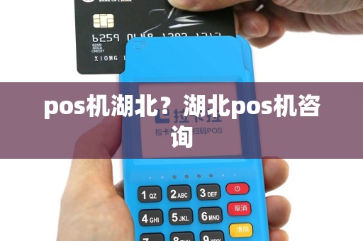 pos机湖北？湖北pos机咨询