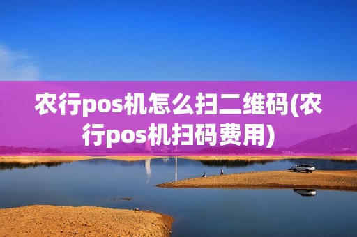 农行pos机怎么扫二维码(农行pos机扫码费用)