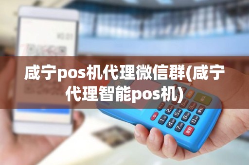 咸宁pos机代理微信群(咸宁代理智能pos机)