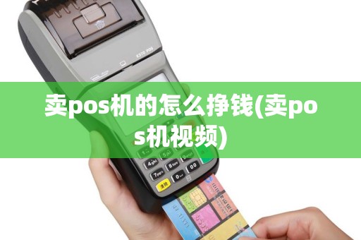 卖pos机的怎么挣钱(卖pos机视频)