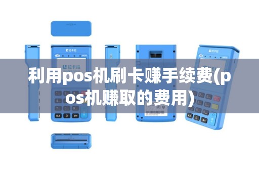 利用pos机刷卡赚手续费(pos机赚取的费用)