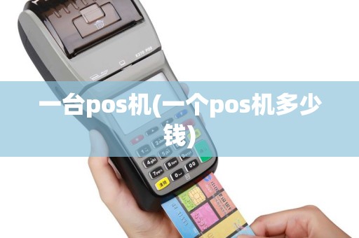 一台pos机(一个pos机多少钱)