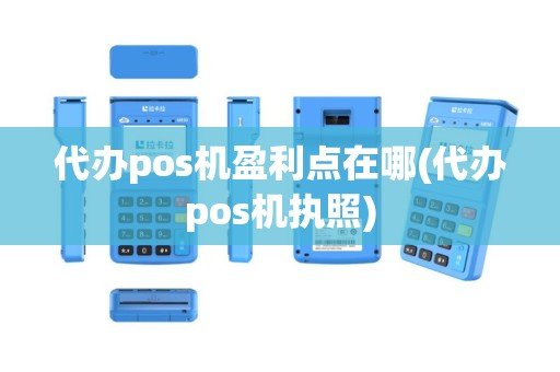 代办pos机盈利点在哪(代办pos机执照)