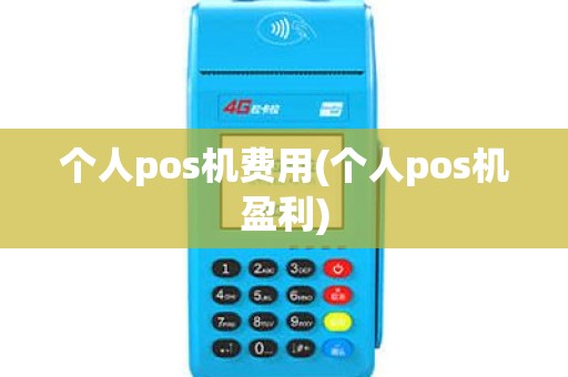 个人pos机费用(个人pos机盈利)