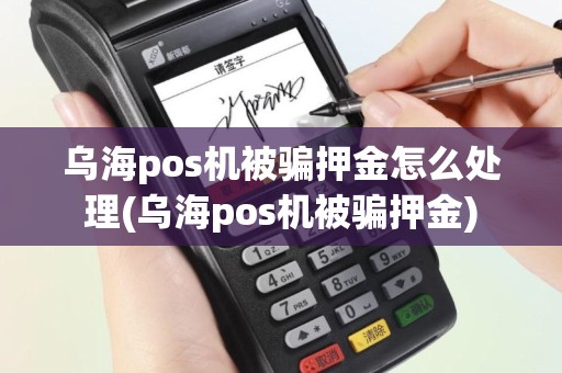 乌海pos机被骗押金怎么处理(乌海pos机被骗押金)