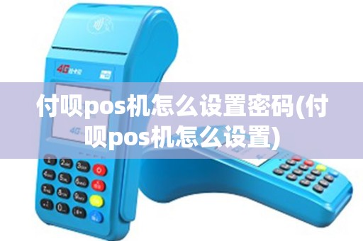 付呗pos机怎么设置密码(付呗pos机怎么设置)