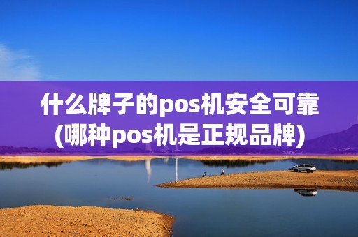 什么牌子的pos机安全可靠(哪种pos机是正规品牌)