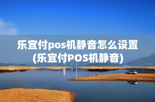 乐宜付pos机静音怎么设置(乐宜付POS机静音)