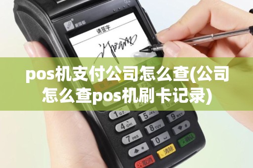 pos机支付公司怎么查(公司怎么查pos机刷卡记录)