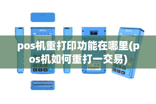 pos机重打印功能在哪里(pos机如何重打一交易)