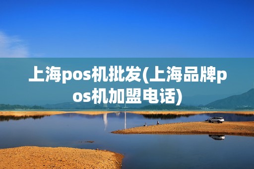 上海pos机批发(上海品牌pos机加盟电话)