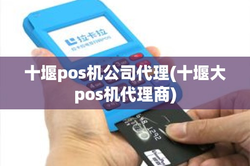 十堰pos机公司代理(十堰大pos机代理商)