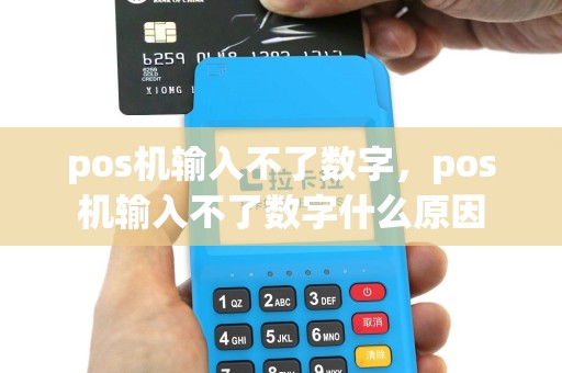 pos机输入不了数字，pos机输入不了数字什么原因