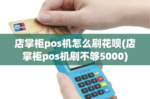 店掌柜pos机怎么刷花呗(店掌柜pos机刷不够5000)