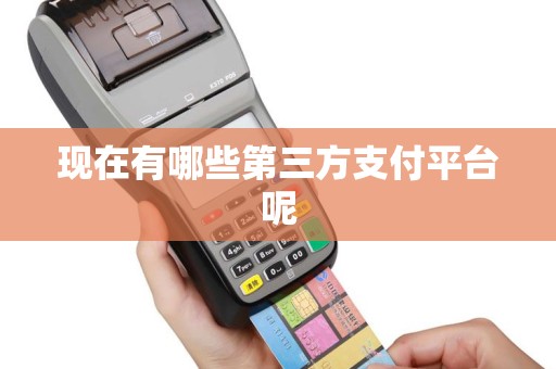 现在有哪些第三方支付平台呢